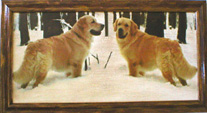 Coloured photograph on canvas in the authorīs frame, 30 x 50 cm, photomontage by Lubođ Ton